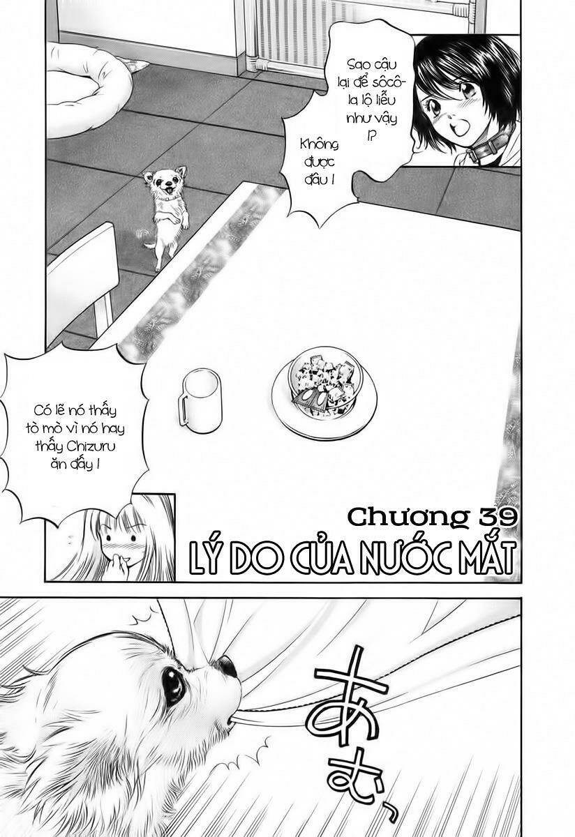 cô nàng yêu chó chapter 39 1
