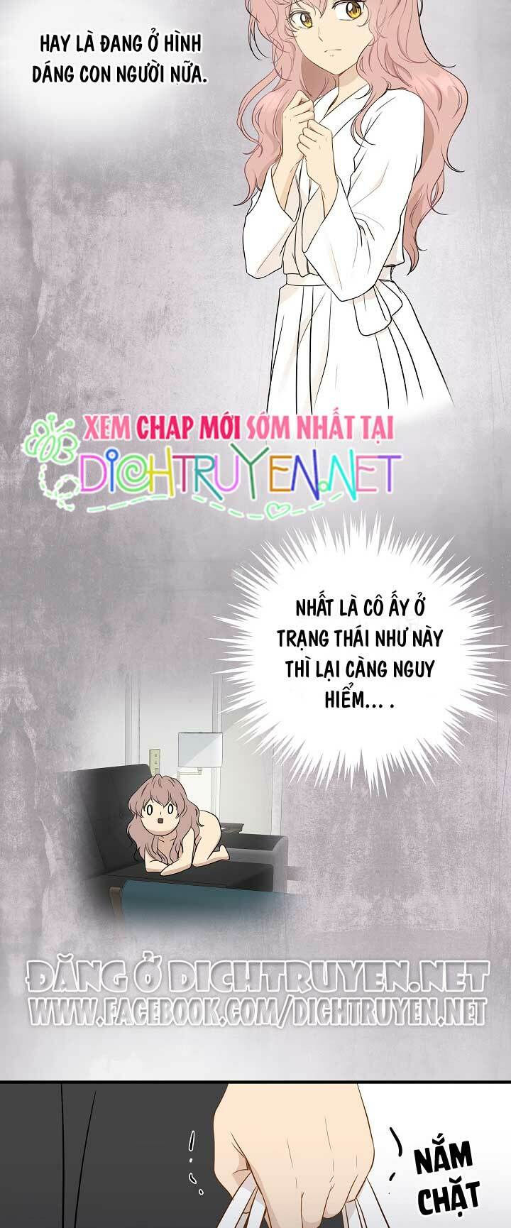 cuộc sống kỳ thú chapter 4 24