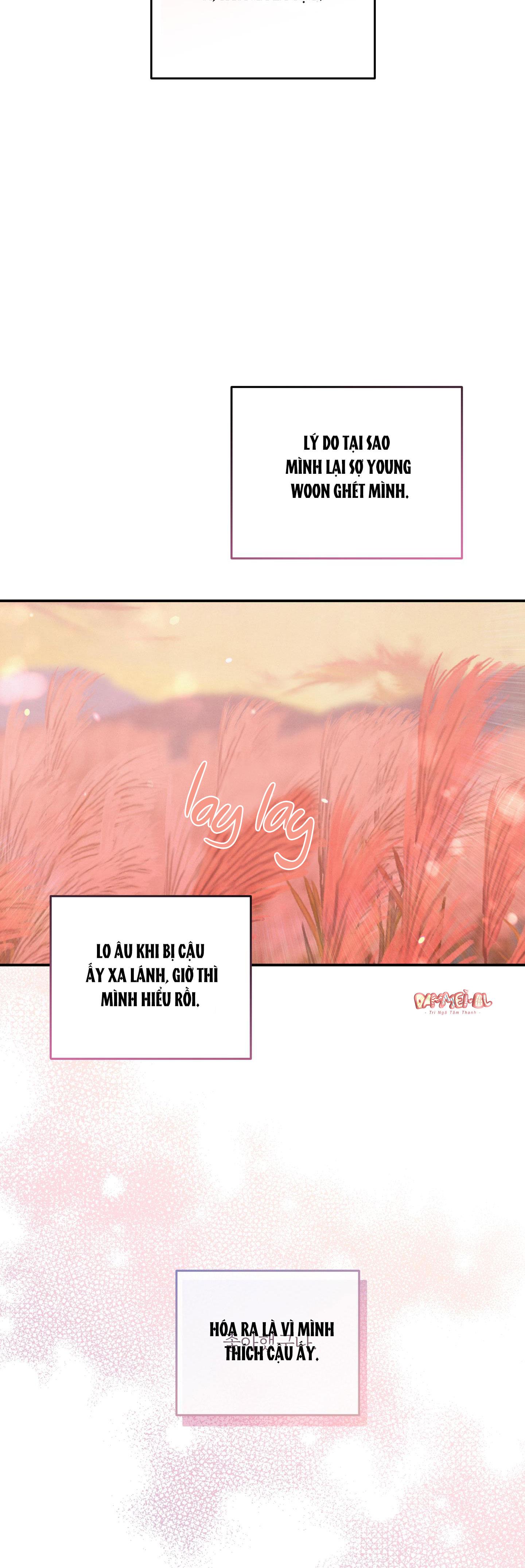 mối quan hệ ngu ngốc chapter 26 31