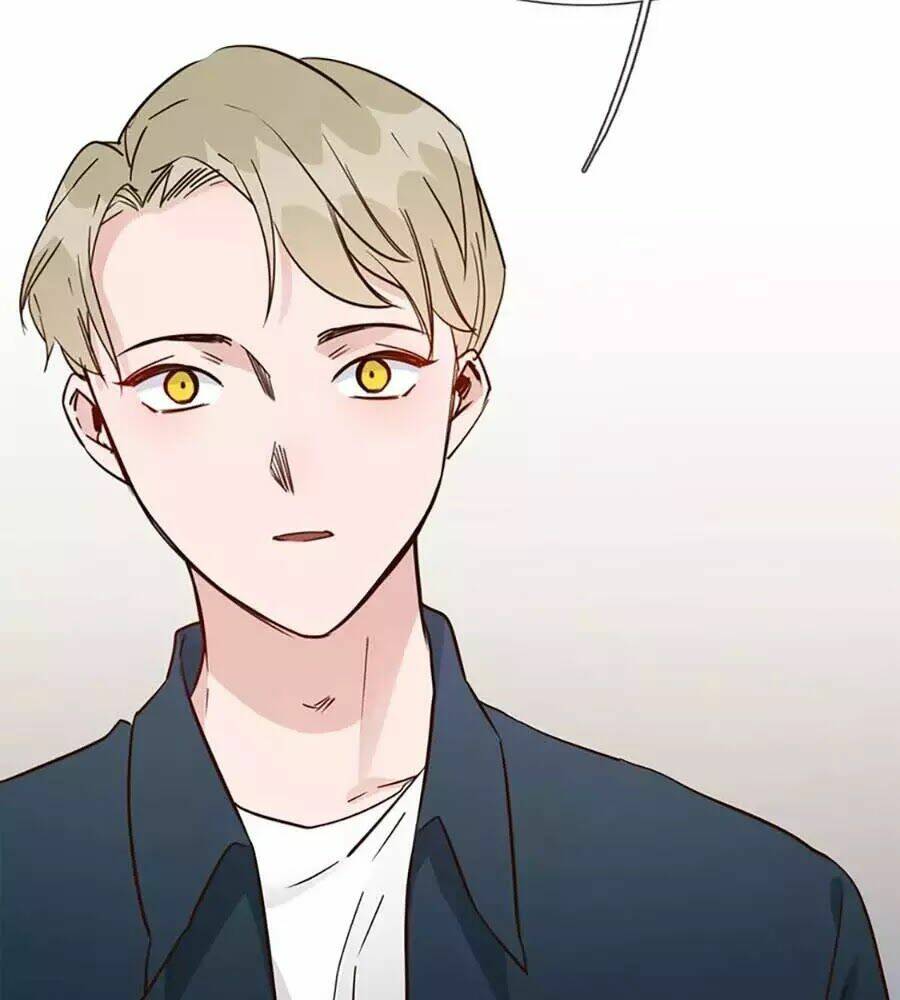 ngôi sao vụn vỡ chapter 36 28