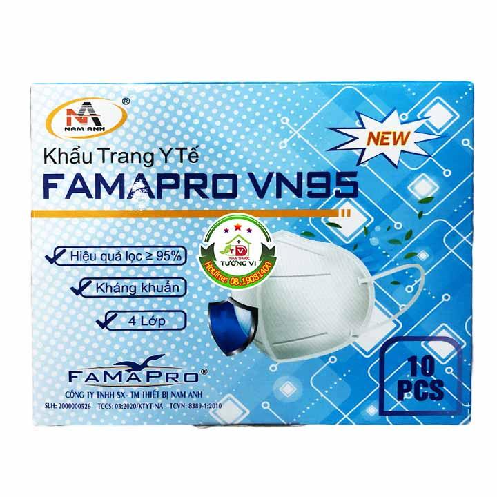 HỘP 10 KHẨU TRANG NAM ANH FAMAPRO VN95