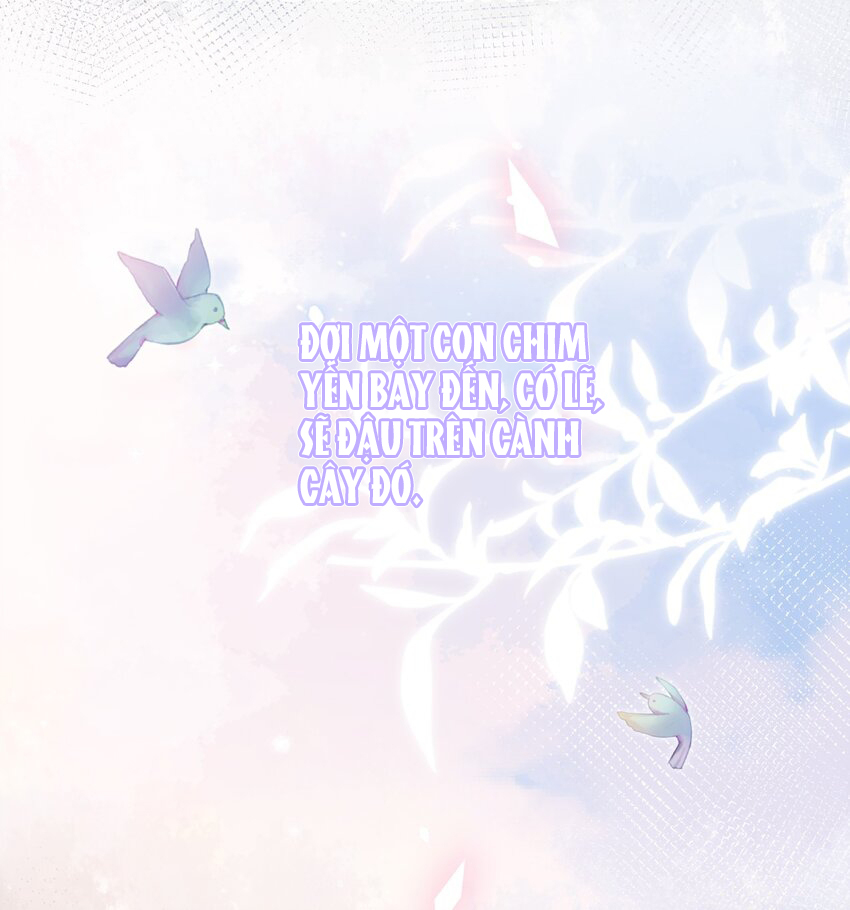 trước và sau ly hôn! chapter 82 21