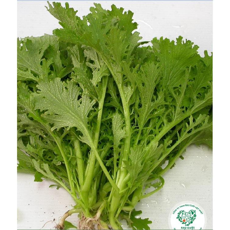 Hạt giống rau cải nhật xanh - 10gr/gói
