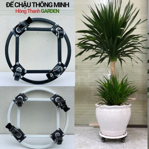 Đế Lót Chậu Cây Có Bánh Xe , Đế Chậu Thông Minh Cao Cấp HTG, Siêu Chắc Khỏe, Có Bánh Xe Di Chuyển, Có Chốt An Toàn, Chịu Lực Đến 200kg, Chất Liệu Hợp Kim Cao Cấp Sơn Tĩnh Điện