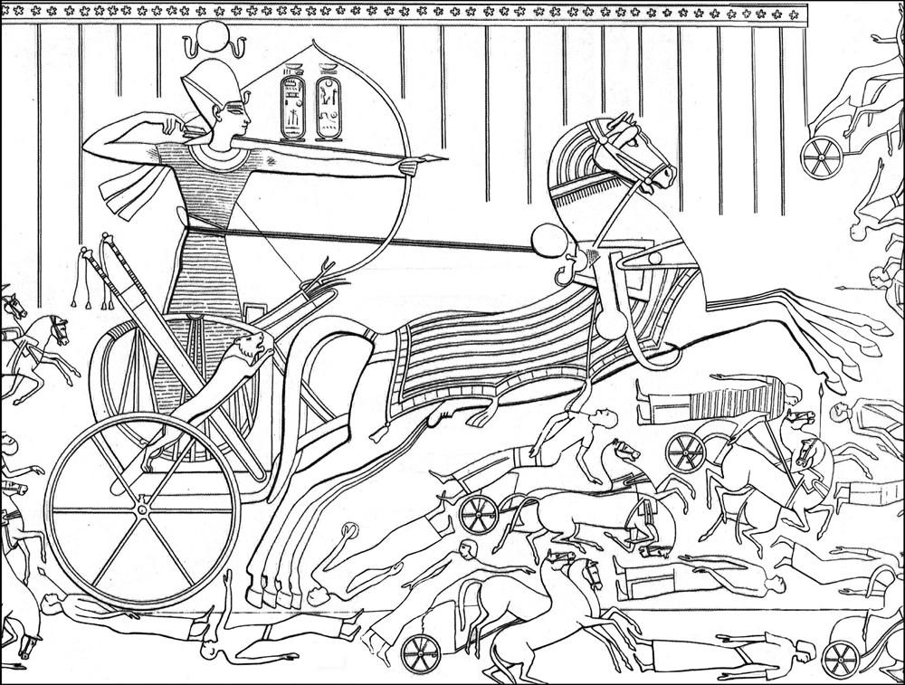 Sách - Where War Began : A Military History of the Middle East from the Birt by Arthur Cotterell