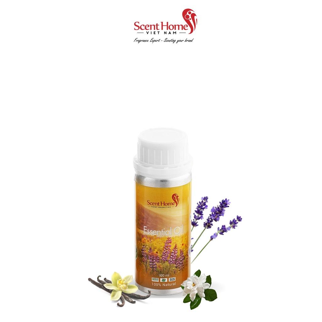 Tinh dầu Scent Homes - mùi hương