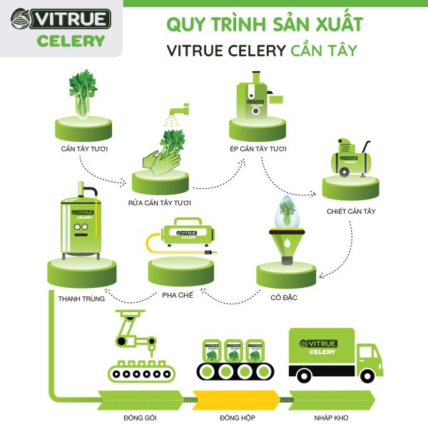 Tinh chất cần tây VITRUE Celery