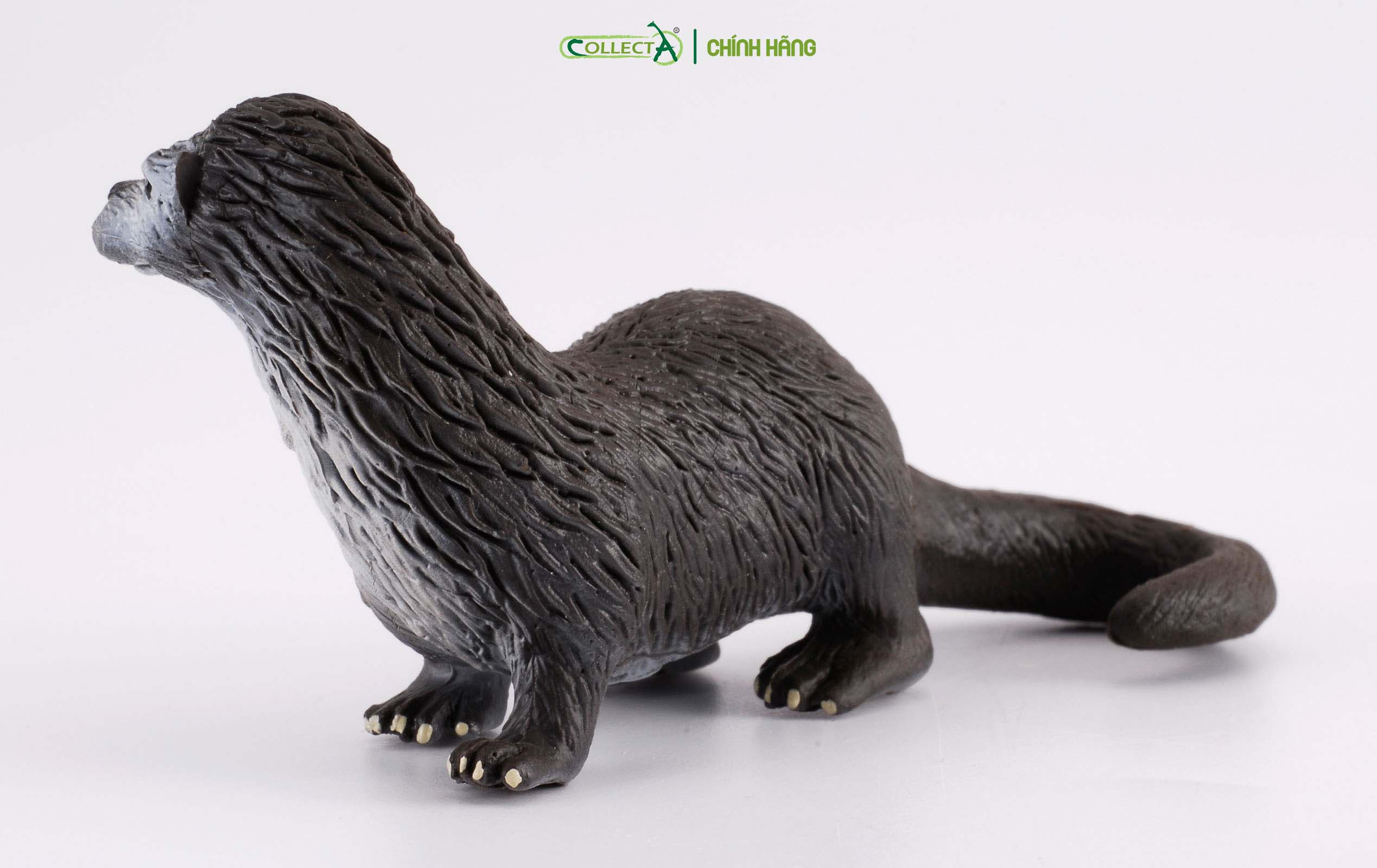 Mô hình thu nhỏ: Rái Cá - Common Otter, hiệu: CollectA, mã HS 9651370[88053] -  Chất liệu an toàn cho trẻ - Hàng chính hãng