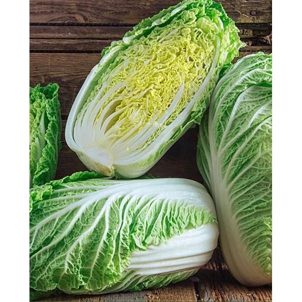 Hạt giống bắp Cải thảo trắng dể trồng f1-gói 0.2Gram-tặng kèm gói phân bón lót