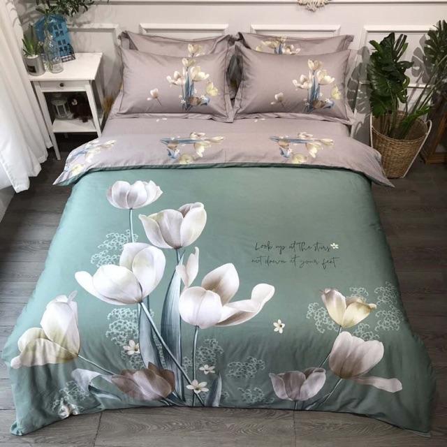 Set Cotton Ogranic Hàng Nhập Khẩu Cao Cấp 4 Món Hoa Khung Tuy Lip