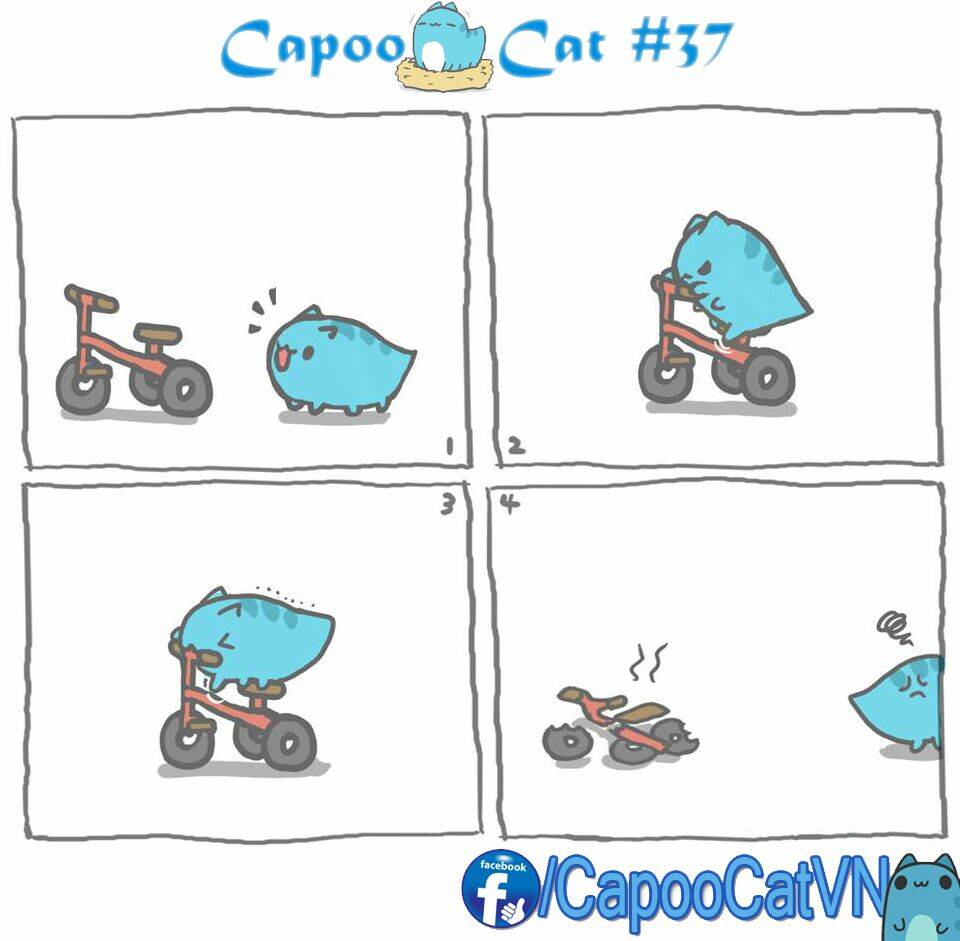 capoo cat chapter 4 7