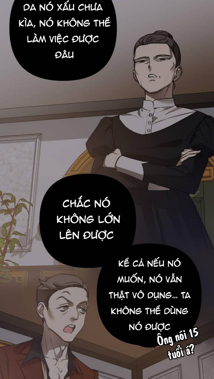 tiểu công nương mint chapter 2 3