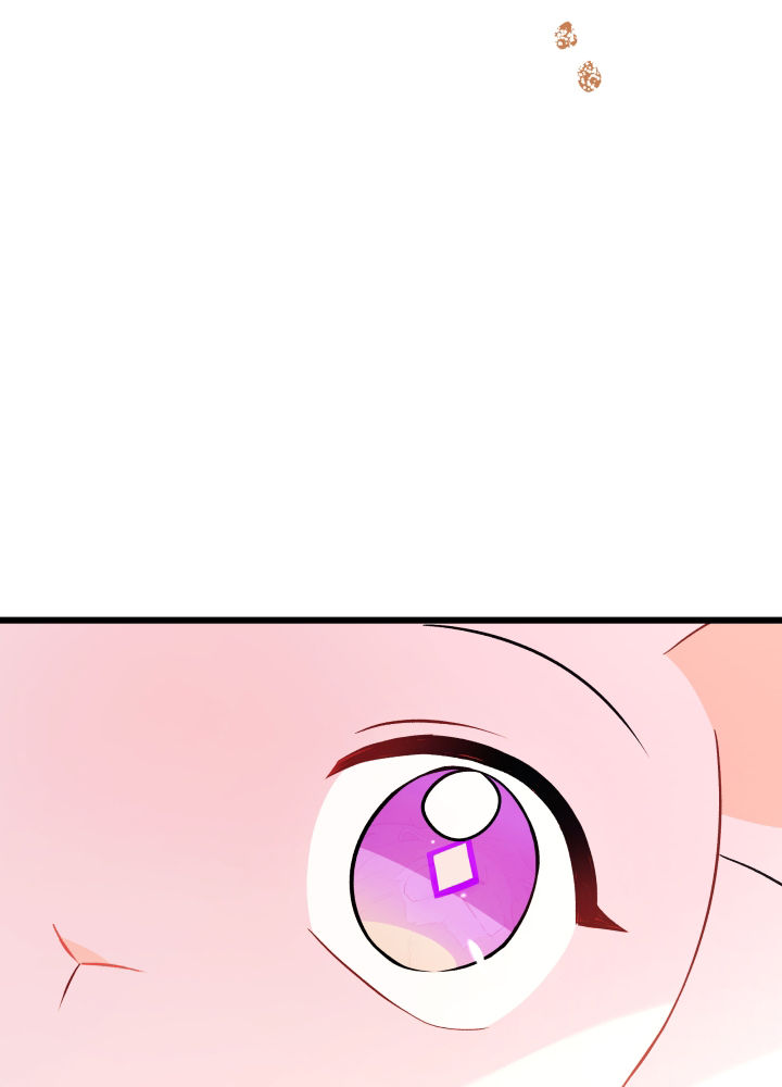 mối liên kết giữa báo đen và bé thỏ chapter 33 56