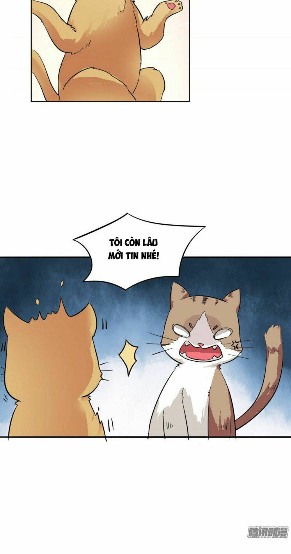 hai chú mèo totem chapter 4 12