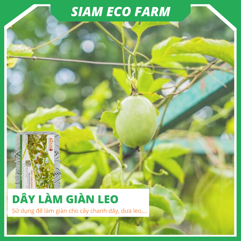 Dây làm giàn leo 3mm Siam Ecofam - chuyên làm giàn chanh leo, giàn bầu bí siêu bền