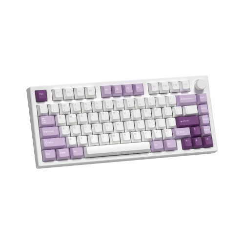 Bàn phím cơ FL-Esports GP75CPM (Taro Purple/Polar Night Black)_Mới, hàng chính hãng