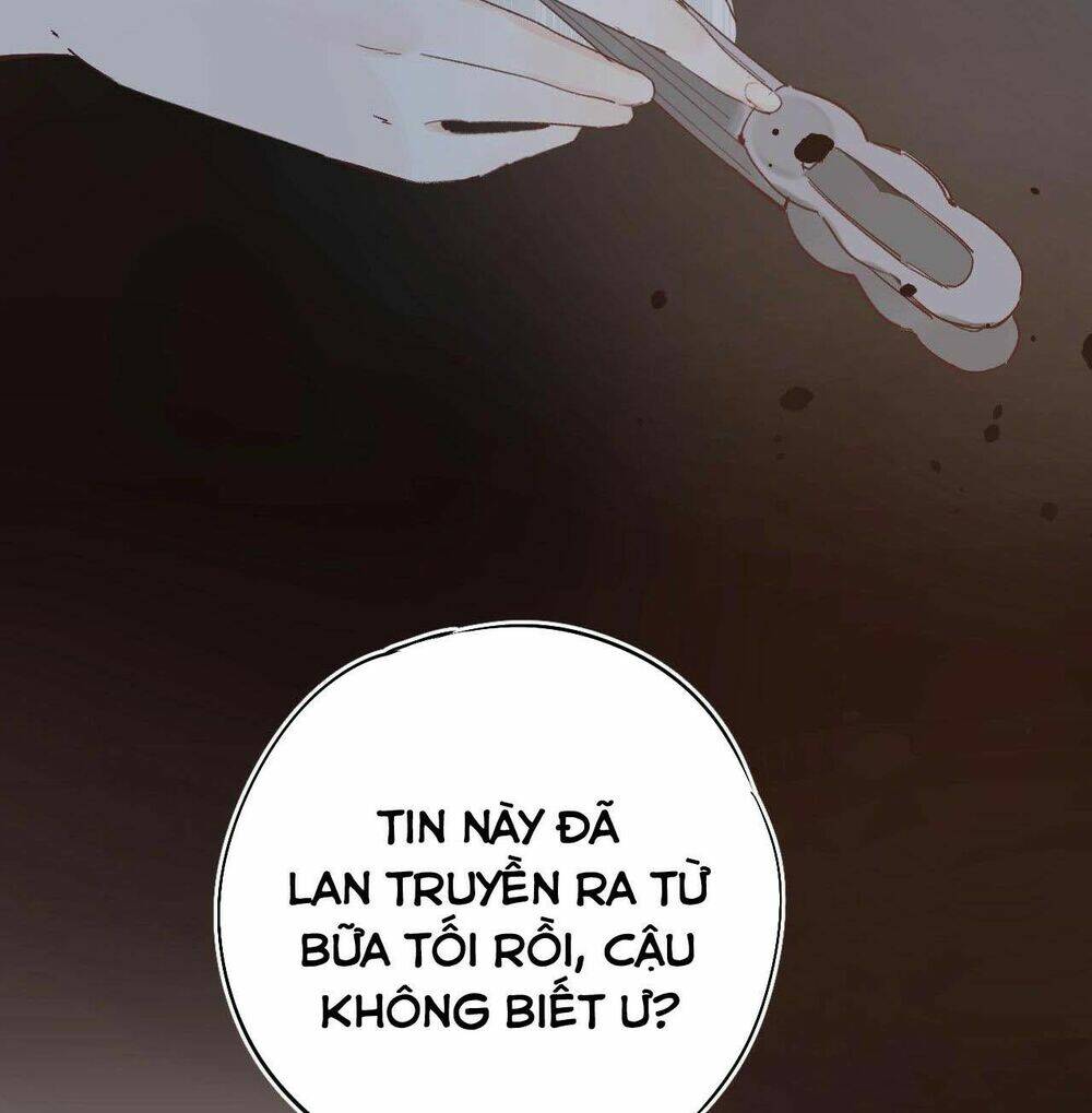 phù thủy hạng bét chapter 22 21