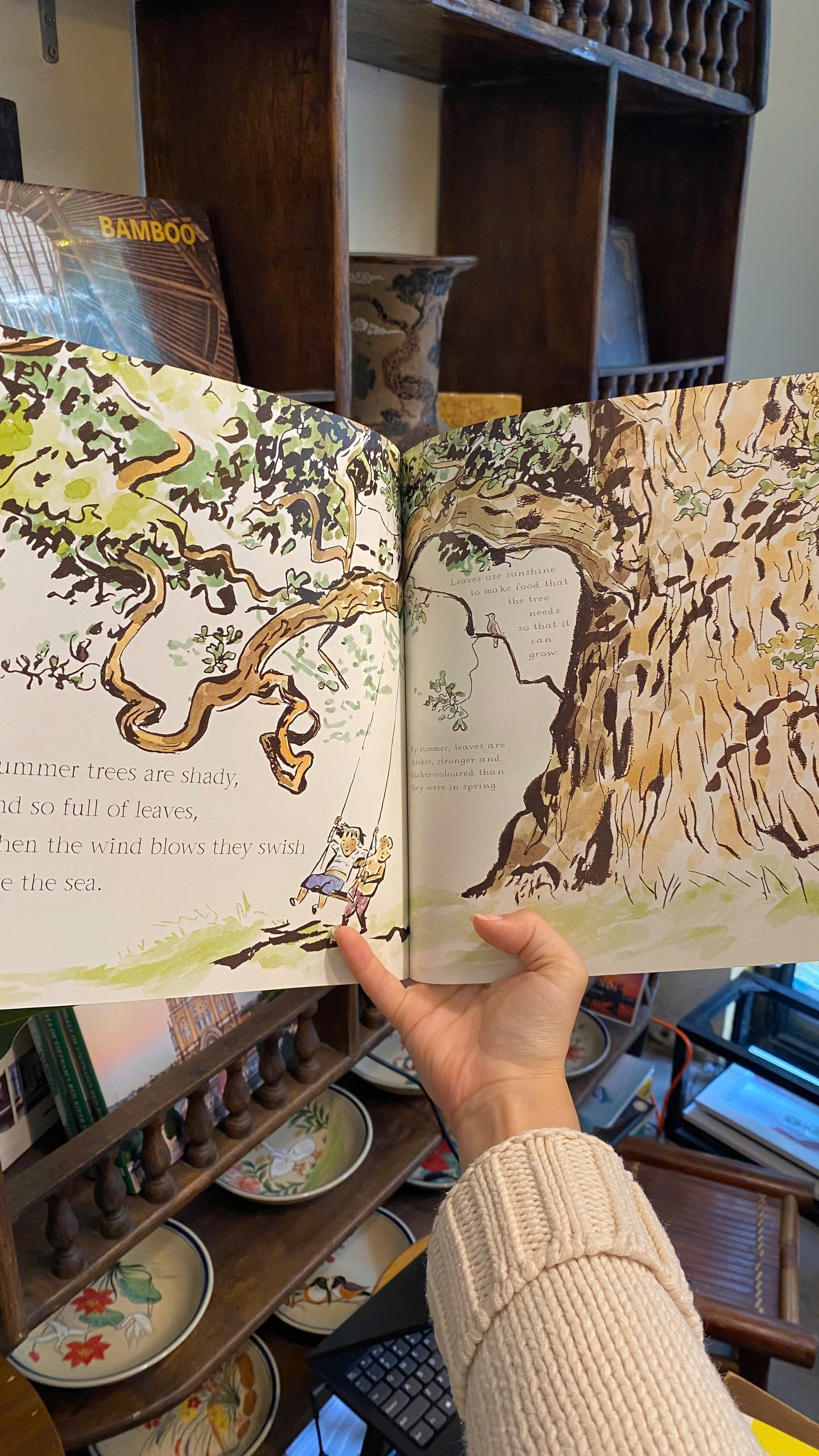 Sách - The Things That I LOVE about TREES by Chris Butterworth | Children's English Picture Book