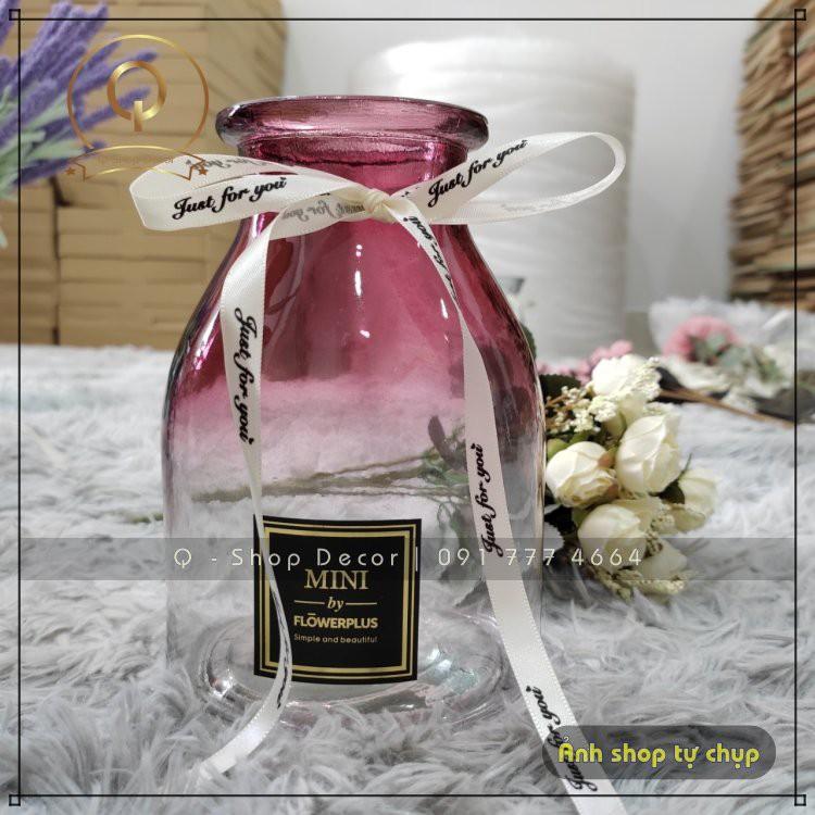 Lọ hoa, bình hoa thủy tinh cao cấp thắt nơ trang trí nội thất Mini Flower Plus Vintage