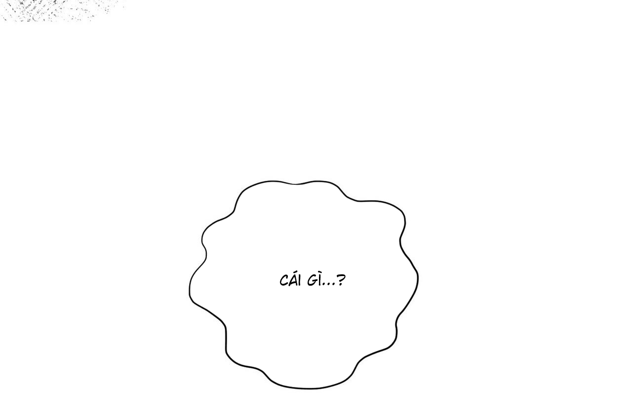 chàng dâu nhà họ kang chapter 33 129