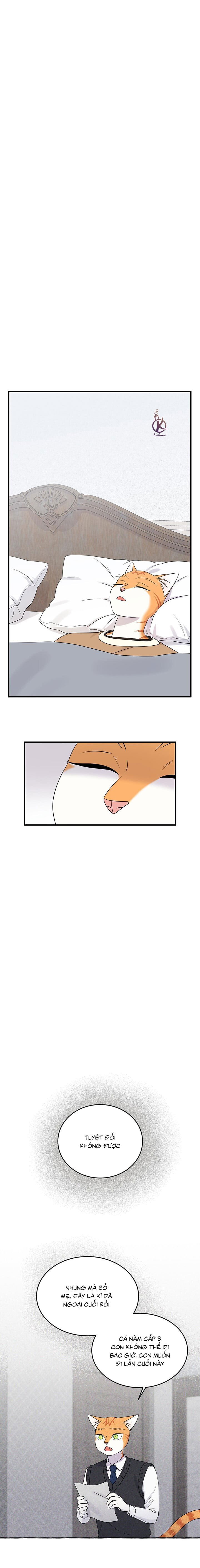 dự án xanh chapter 51 9