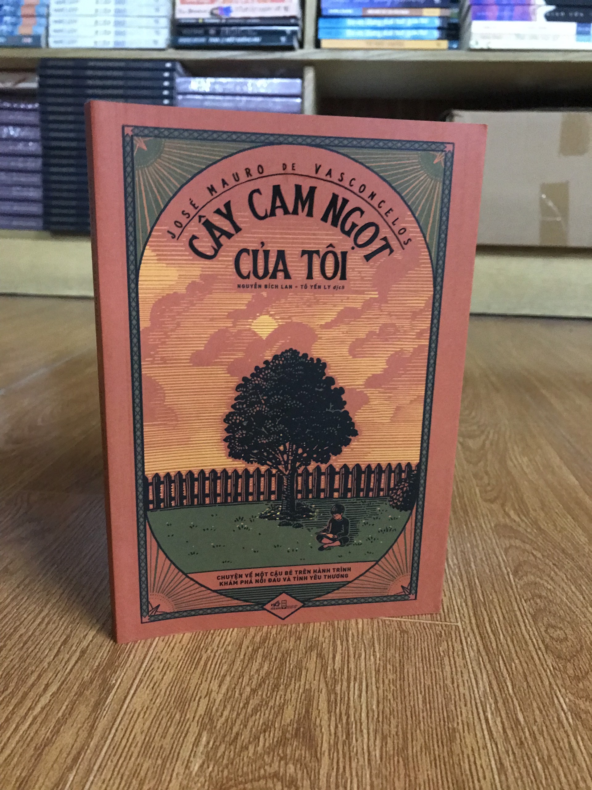 Com sách hay: CÂY CAM NGỌT CỦA TÔI + TƯỞNG TƯỢNG VÀ DẤU VẾT + VIÊN NGỌC TRAI