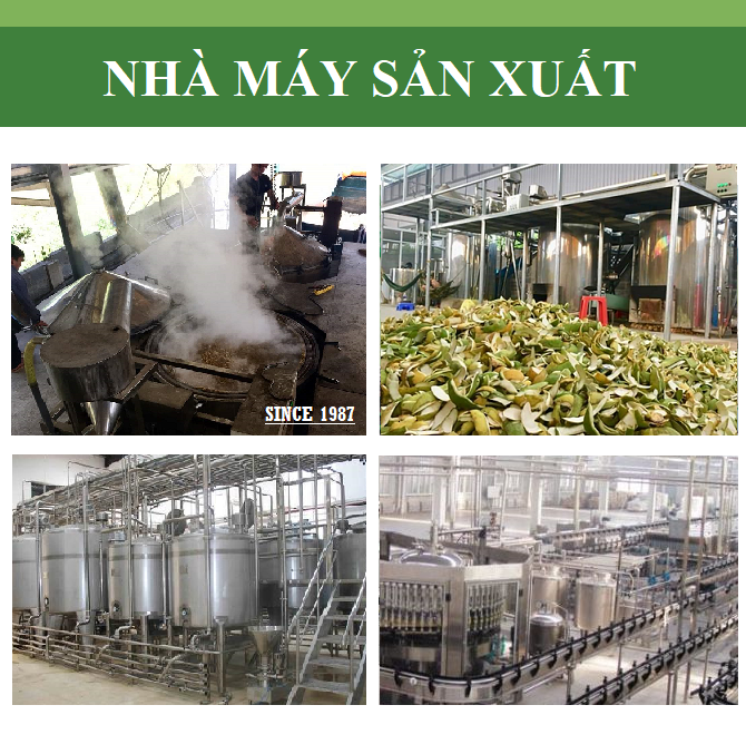 Tinh dầu Sả Chanh Organic nguyên chất từ thiên nhiên, Xuât khẩu thị trường Mỹ, Thơm Phòng, Khử Mùi, Xông Phòng, Đuổi Muỗi, Kháng Khuẩn - KingOil