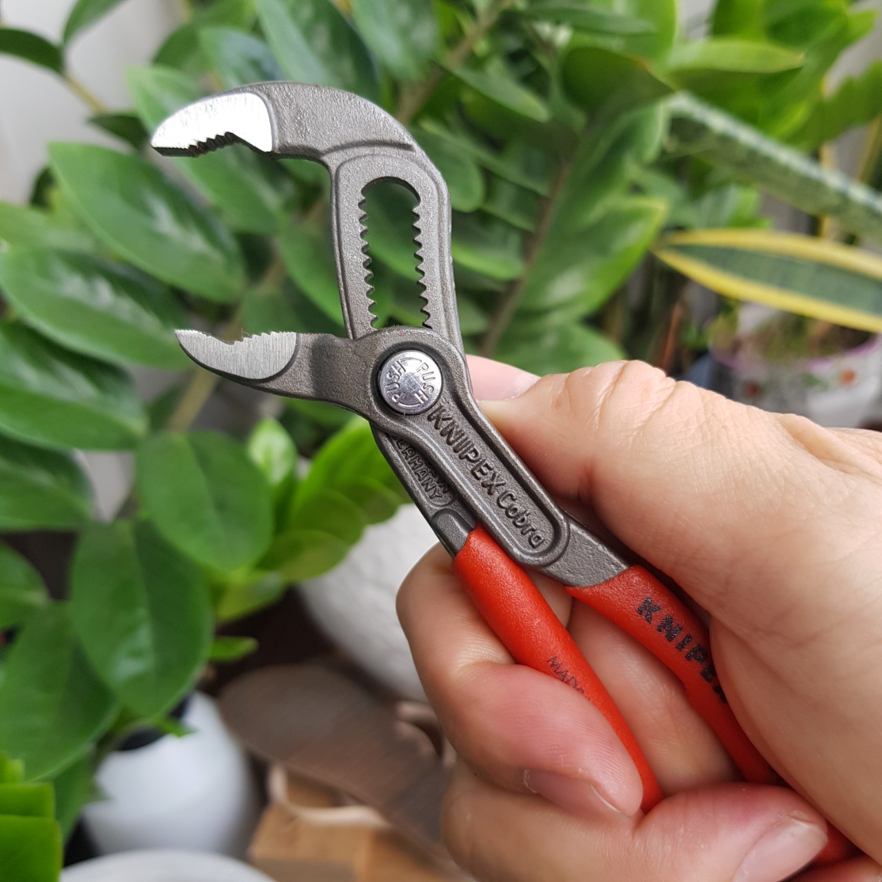 Kìm Nước Cobra Mini KNIPEX - 87 01 150