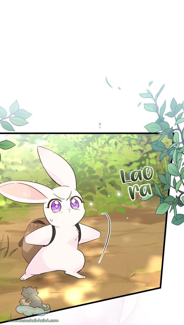 quan hệ cộng sinh giữa báo đen và thỏ trắng chapter 61 42