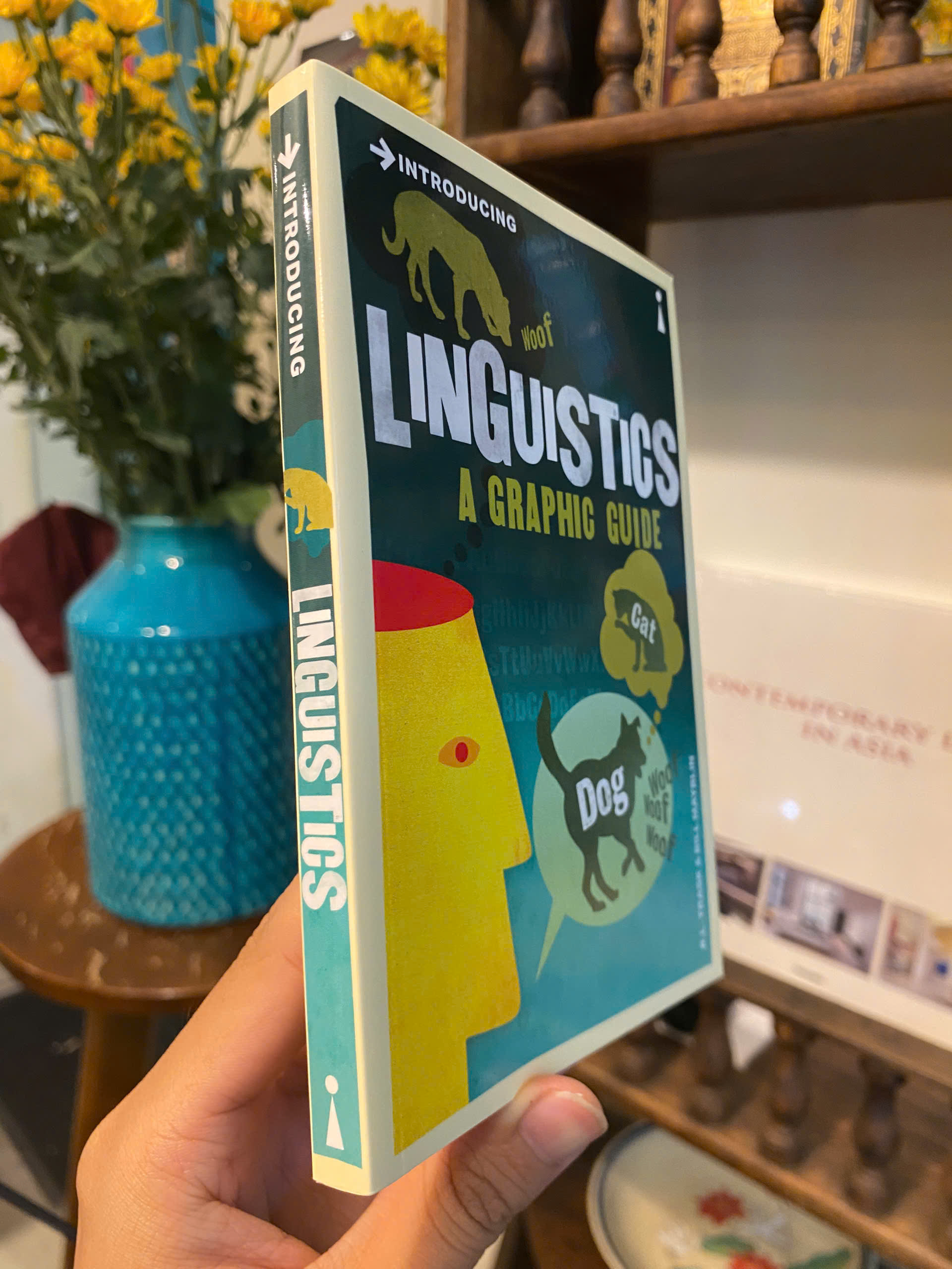 Sách - Introducing Linguistics: A Graphic Guide by R.L. Trask | Nonfiction / Ngoại văn Nhập khẩu