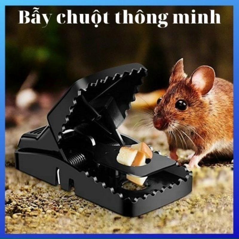 BẪY CHUỘT ĐEN THÔNG MINH HÀM CÁ SẤU SIÊU NHẬY