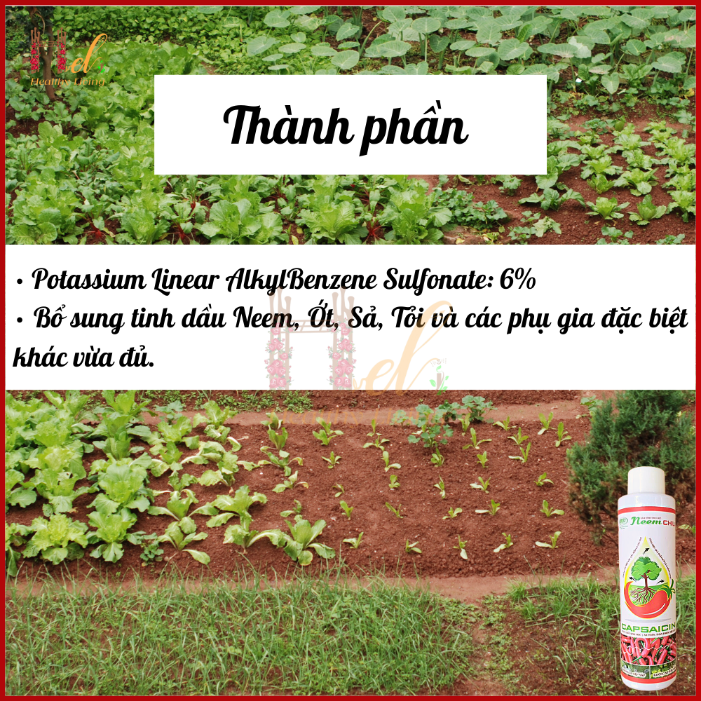 Neem Chili Chất Bám Dính Sinh Học 150ml - Điền Trang Trừ Sâu Rầy Bọ Trĩ