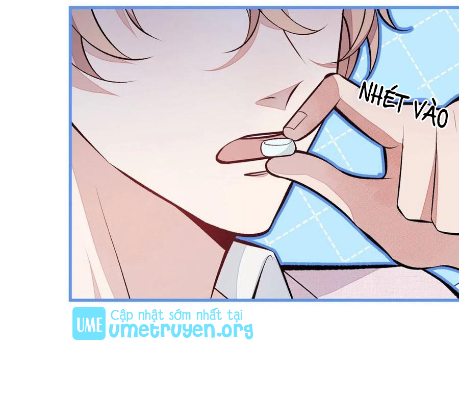 lại bị nam thần chọc trên hot search! chapter 96 15