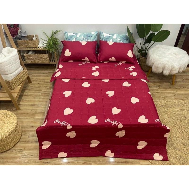 Ga Giường và 2 vỏ gối kích thước m6_m8 chất liệu cotton poly cao cấp giá tại xưởng hàng loại 1