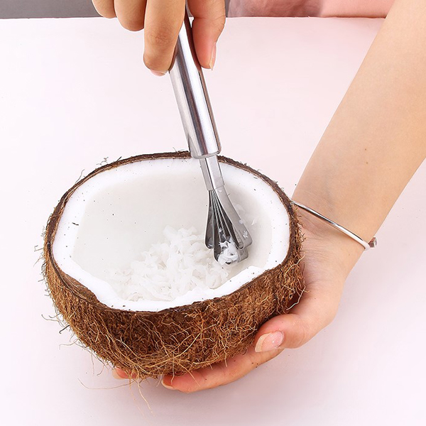 Bộ 2 Dụng Cụ Đánh Vảy Cá Kiêm Nạo Dừa