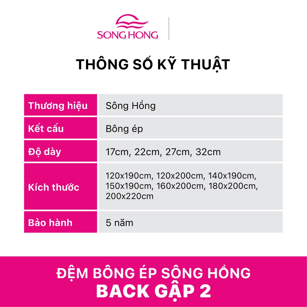 Đệm bông tinh khiết sông hồng cao cấp back essential