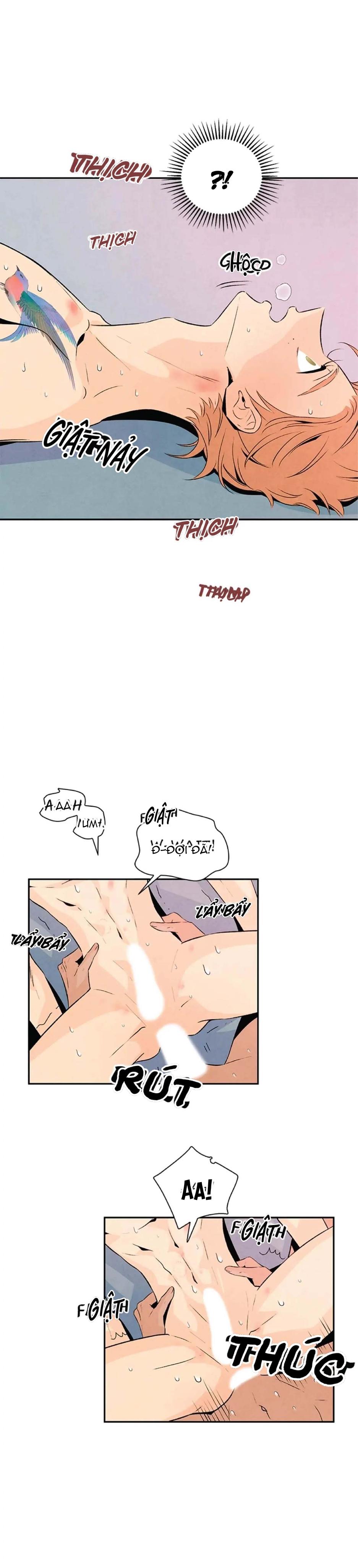 bona sort chapter 20 16