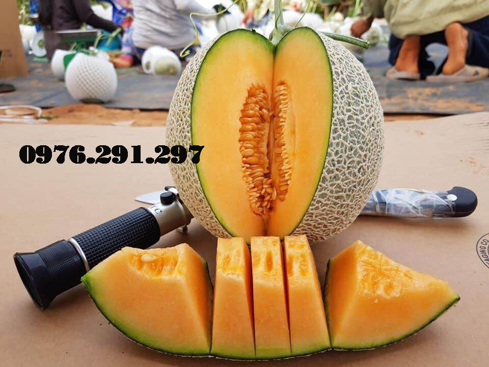 Khúc xạ kế đo độ cồn và độ ngọt