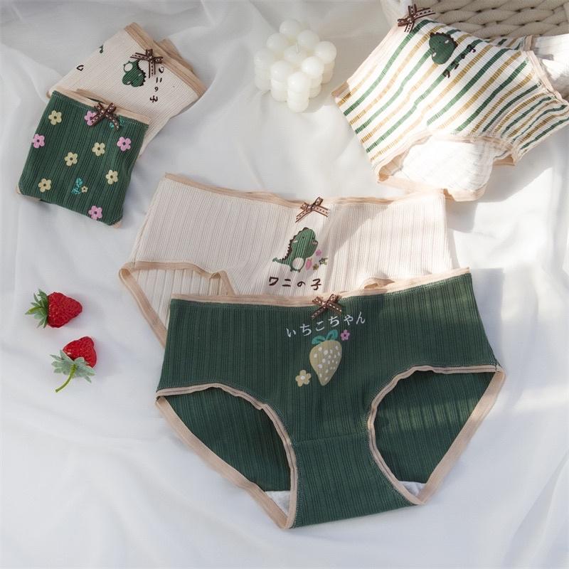 Set 5 Quần Lót Nữ Cotton Siêu Thoáng Nâng Mông Co Giãn Siêu Thích