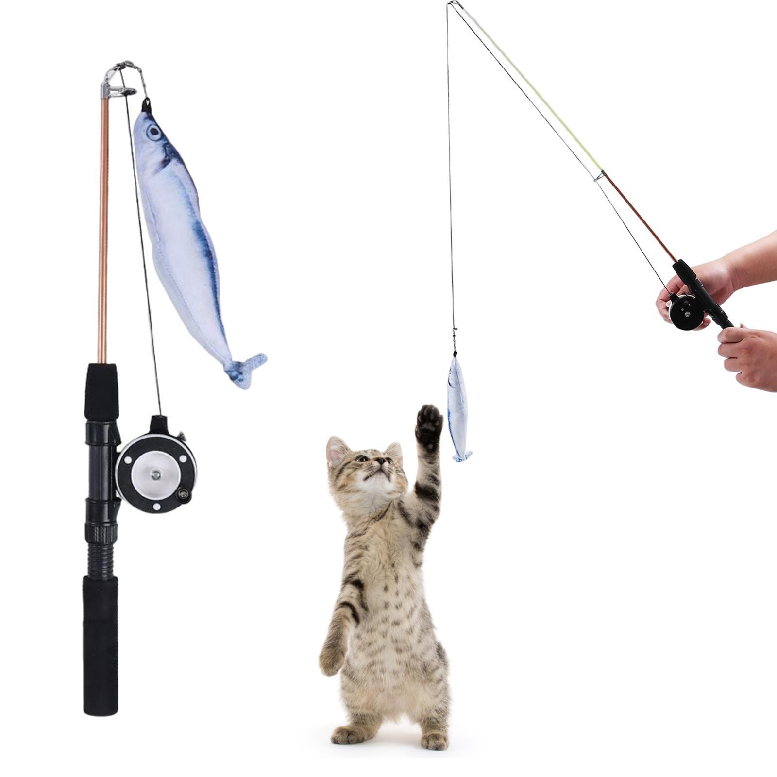 Cat Teaser  Interactive Cat Toys Training Exercise for Pet Supplies