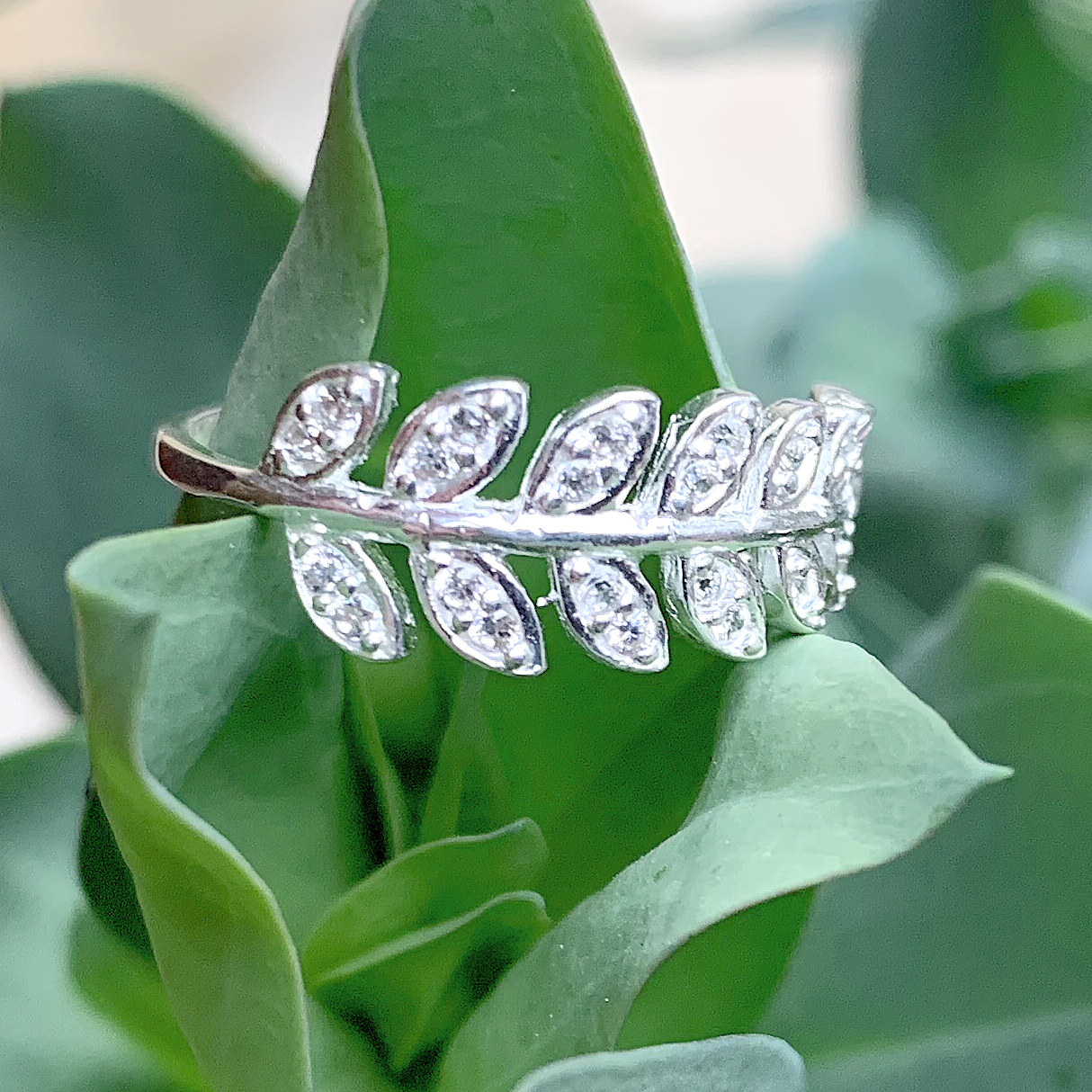 Nhẫn bạc PANMILA Jewellery cao cấp 925 hình cành Olive