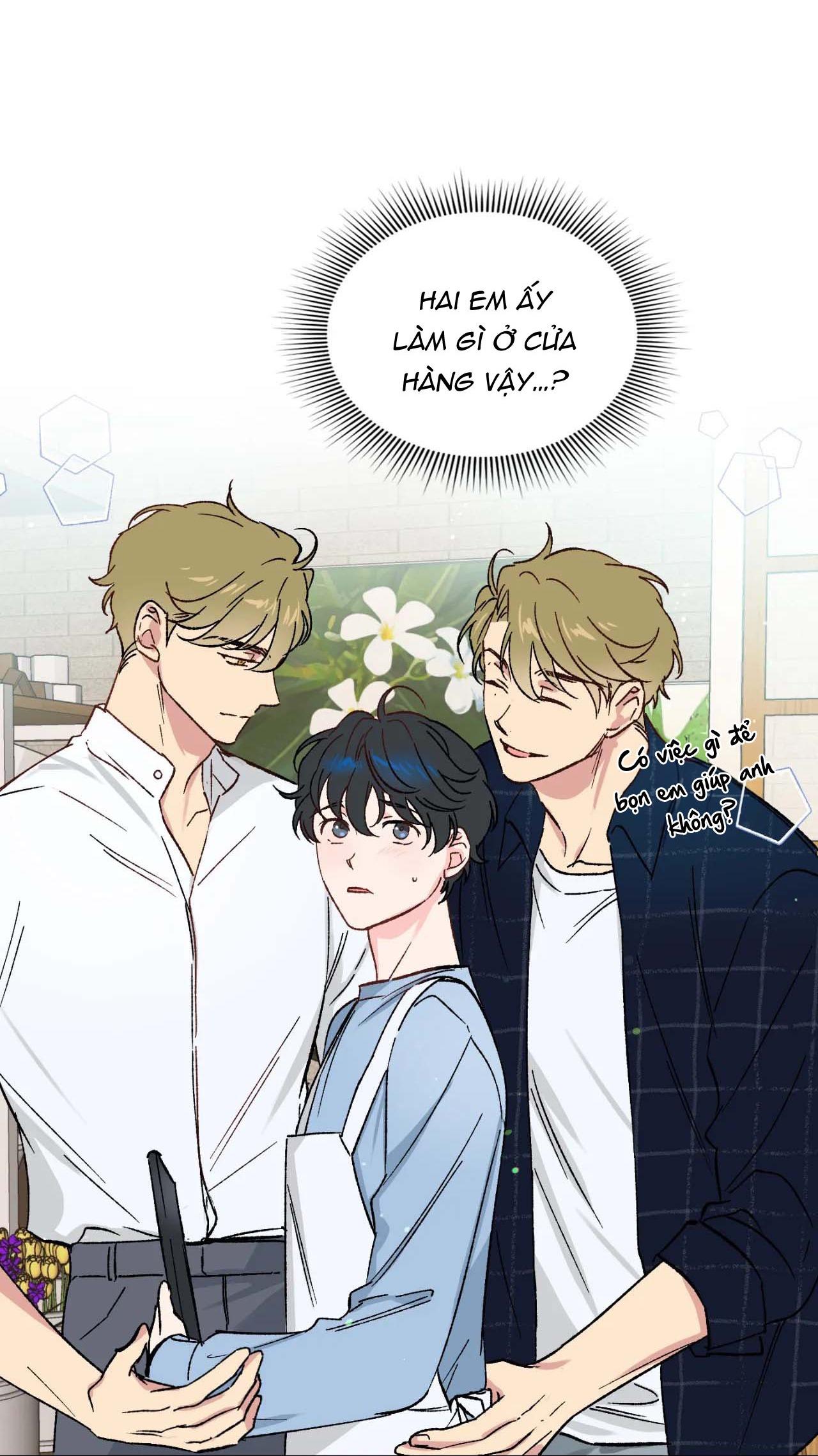 bước vào rắc rối chapter 5 6