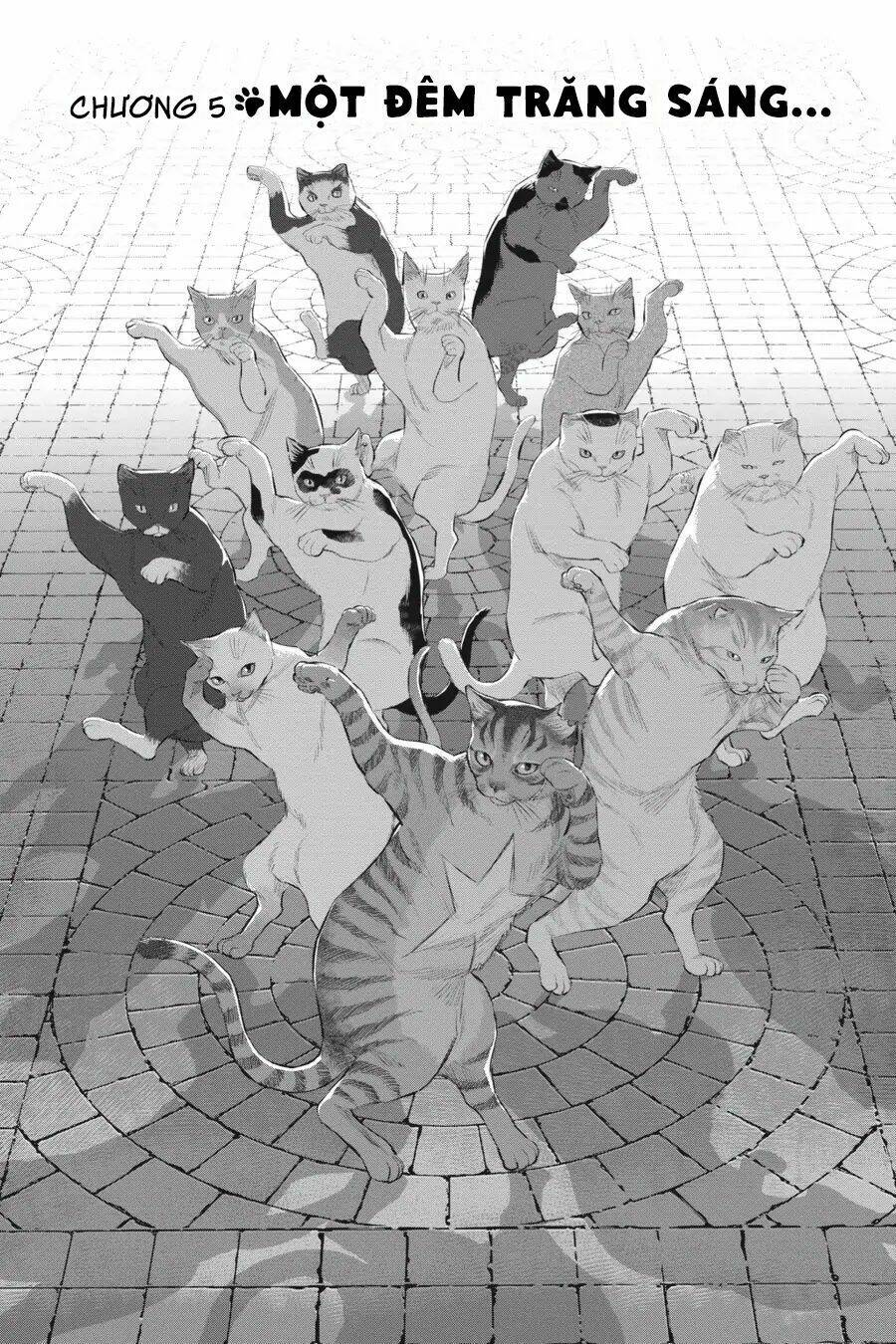 nyankees chapter 5 2