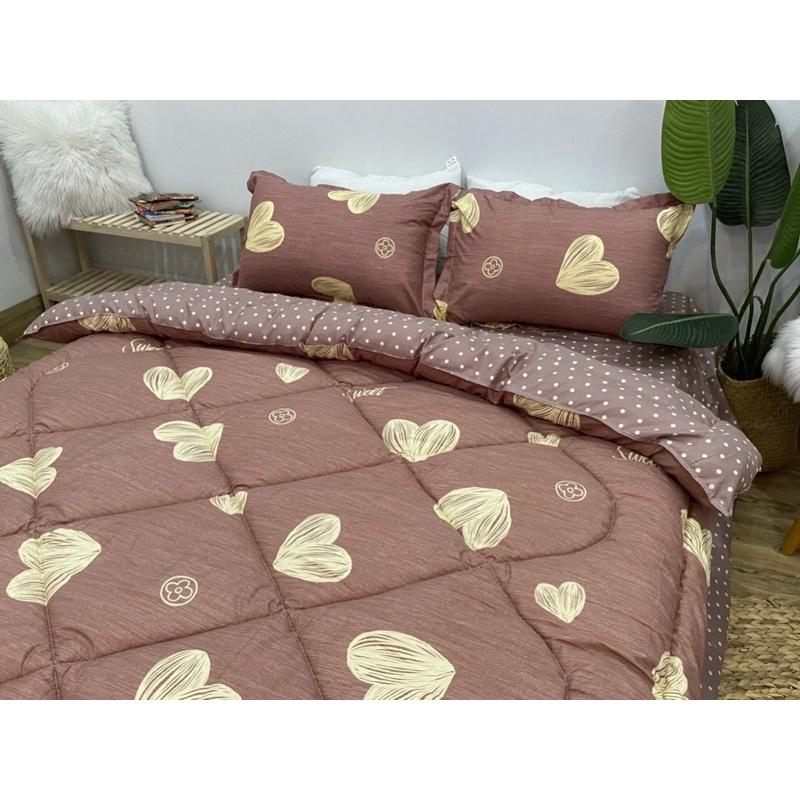 Bộ chăn ga cotton poly trần bông, nằm êm mềm mát