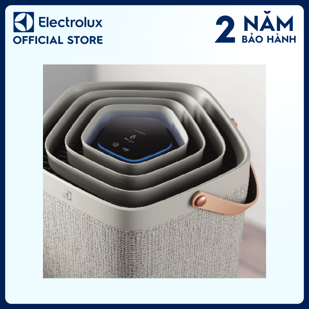 Bộ lọc không khí Electrolux cao cấp CARE360 PA91-606DG
