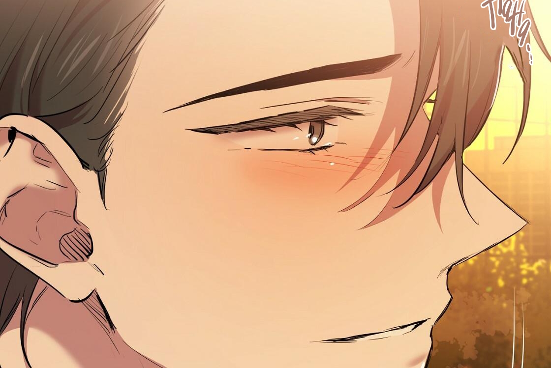 đàn thỏ của habibi chapter 24 46