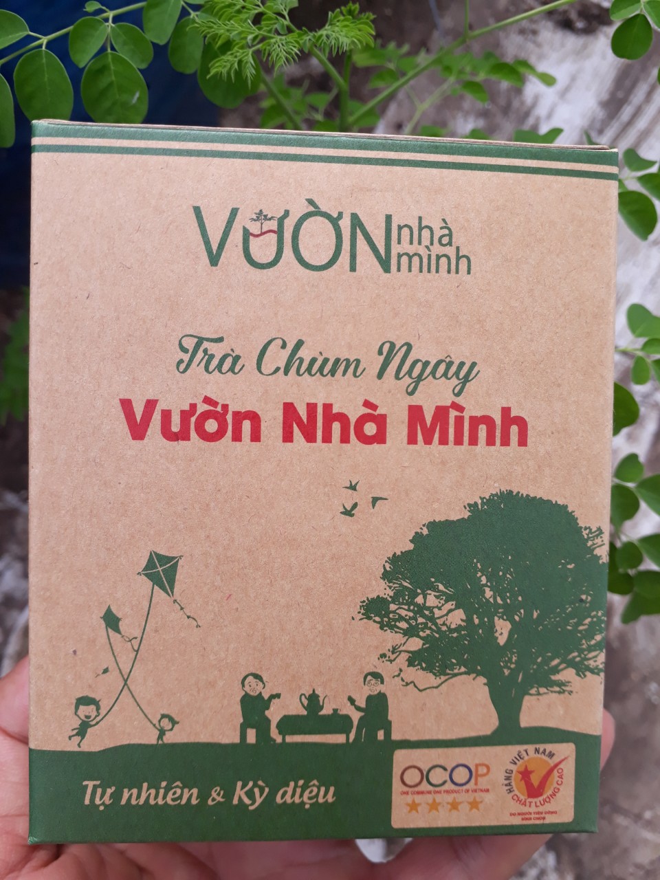 Trà Chùm Ngây Túi Lọc Vườn Nhà Mình (Hộp 30 gói túi lọc)