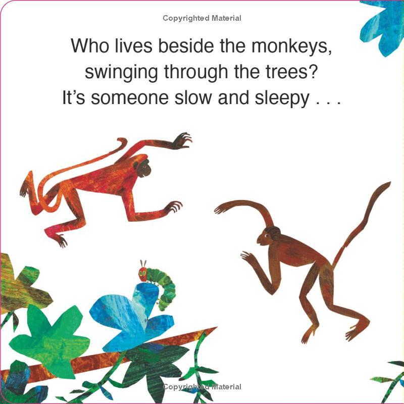 Sách ngoại văn: The Very Hungry Caterpillar's Jungle Hide &amp; Seek