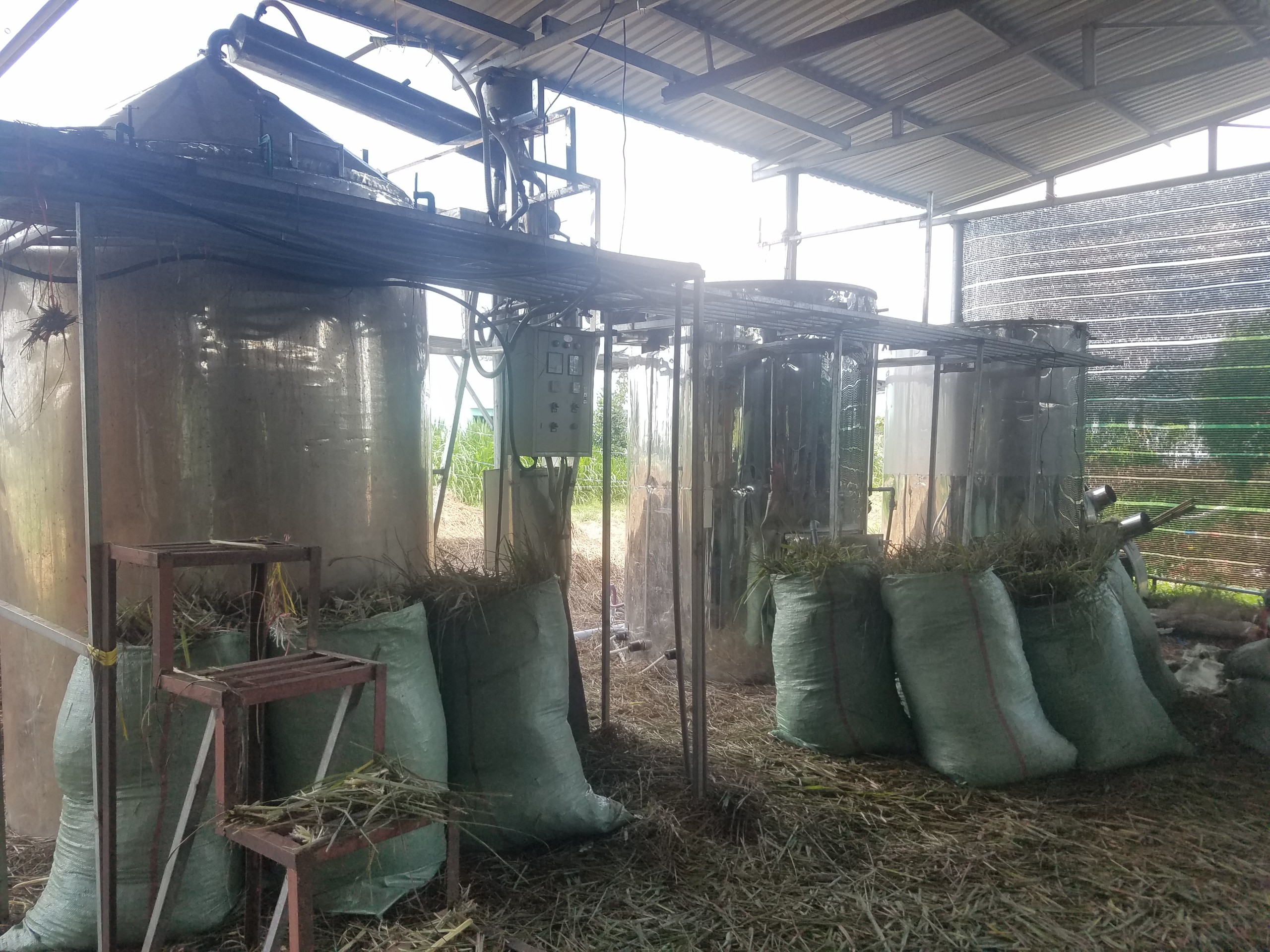 Tinh dầu sả chanh 50ml Mộc Mây - tinh dầu nguyên chất 100% từ thiên nhiên - chất lượng và mùi hương vượt trội