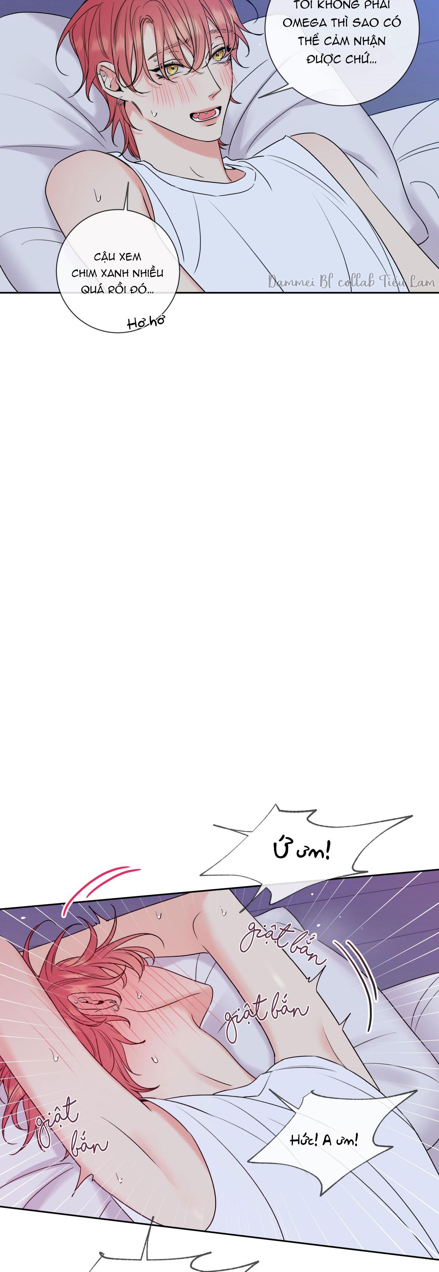 chuyện tình rắc rối -dmbl chapter 5 11